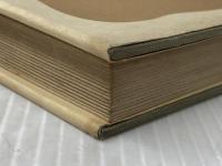 自分の穴の中で (1955年) 新潮社 石川 達三