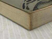 息子を大物に育てる父親学―一流人間をつくる実践21のケース (1981年) 日新報道 大隈 秀夫