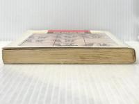 将棋教室―こうすればお父さん・仲間に勝てる (1981年) (ジュニア入門ライブラリー) ナツメ社 森 鶏二