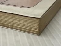 将棋教室―こうすればお父さん・仲間に勝てる (1981年) (ジュニア入門ライブラリー) ナツメ社 森 鶏二