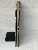 ラストファイト (1981年)