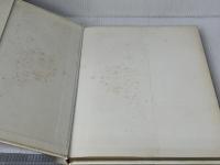 ラストファイト (1981年)