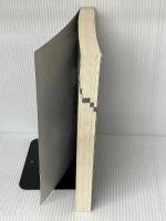 みんなのMacintoshパフォーマにお・ま・か・せ (Mac power books) アスキー 山本 英司