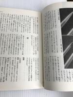 ＜新独習シリーズ 書道 正しい手本と習い方＞　仲田幹一 主婦の友社 書方 毛筆 楷書 調和体 美しい字 　