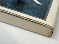 よく釣れる川釣り入門　オール図解・仕掛けから釣り方まで(実用百科シリーズ) 永岡書店 南部昭忠