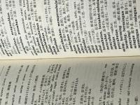 現代インドネシア語辞典 (1977年)