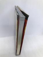 超人気パチスロ完全攻略ガイド (バナナ文庫 パチンコ・パチスロ必勝本シリーズ 19) 辰巳出版