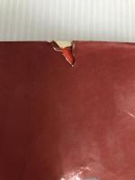 栄光の名馬―不滅の血統に生きた22頭 (1976年)