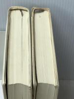 永遠の仔 上下巻セット