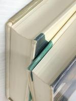 永遠の仔 上下巻セット