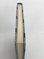 りこうすぎた王子 岩波少年文庫復刻版