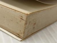 生きた絵をかく子どもたち (1976年) (よつば新書) 文化出版局 高杉 イサオ