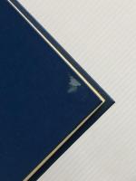 催眠面接法 (1968年)