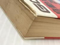 自動車王国日本・危機の構造―クライスラー・パニックは対岸の火事ではない (ゴマブックス) ごま書房新社 下川浩一