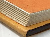 池坊立華の立て方 上巻　 桐華社 後藤正一