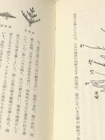 池坊立華の立て方 上巻　 桐華社 後藤正一