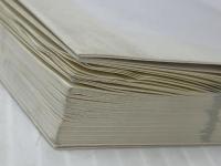 福島みずほと31人が命を語る　 社会民主党全国連合機関紙宣伝局 福島みずほ