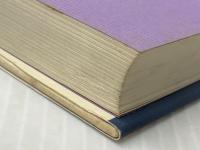 美土里くんの『ドライツェーン』 (1981年)