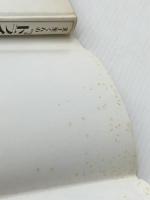 美土里くんの『ドライツェーン』 (1981年)