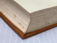 全体を見る眼と歴史家たち