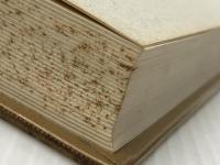 経絡と指圧 (1983年) 医道の日本社 増永 静人