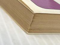 蔵王絶唱 (1979年) (集英社文庫―コバルトシリーズ)