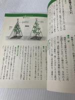 ツバキ・サザンカ―毎月のやさしい手入れ (1981年) (グリーンライフ)