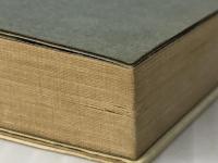 明日にありて よみがえれ! マサカリ投法 　桐原書店 村田淑子