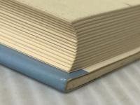 エーゲ海の鉄の城―商社マン闘いの記録 (1981年)