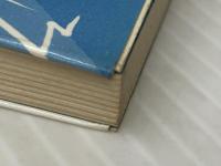 自殺の現象学―生の亀裂 (1980年) (高文堂新書) 高文堂出版社 加藤 茂