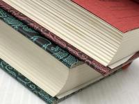 ワイルド・スワン 上下巻セット