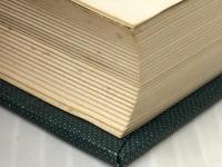 日蓮正宗創価学会 (1967年)