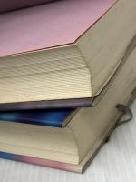 岬一郎の抵抗上下2冊セット　 毎日新聞 半村良