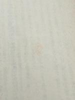 第二信号系理論と国語教育 (1961年)