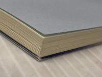 ソニー生命のニードセールス　 保険毎日新聞社 【難あり】