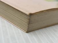 プラスαの機関経営 (1984年) (機関経営シリーズ) 保険毎日新聞社【イタミ有】