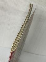 チェッカーズ写真集―ハートにチェックイン! (1984年)