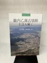 畿内乙訓古墳群を読み解く (季刊考古学・別冊) 雄山閣 広瀬 和雄