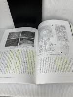 畿内乙訓古墳群を読み解く (季刊考古学・別冊) 雄山閣 広瀬 和雄