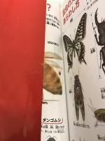 ※イタミ有。昆虫 (学研の図鑑 LIVE ポケット 1)