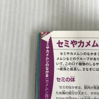 ※イタミ有。昆虫 (学研の図鑑 LIVE ポケット 1)