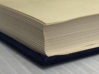 樋口一葉の文学 (1976年) (近代の文学〈2〉)