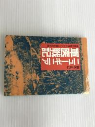 ※イタミ有。ニューギニア軍医戦記: 地獄の戦場を生きた一軍医の記録 (光人社ノンフィクション文庫 301)