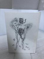 蒼穹と伽藍 (1974年)