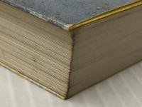 天の魚: 続・苦界浄土 (講談社文庫 い 11-2) 講談社 石牟礼 道子※イタミ有