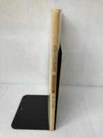 ホガースの銅版画―英国の世相と諷刺 (双書美術の泉) 岩崎美術社 森洋子