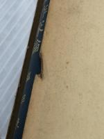 明治女流作家論 (1965年) 寧楽書房 塩田 良平 ※イタミ有