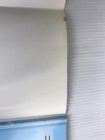 ※イタミ有。うさぎのモフィ 主婦と生活社 コンドウ アキ