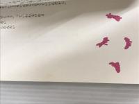 ※イタミ有。キッドリターン 太田出版 ビートたけし