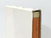 スポーツと催眠 (1970年) ※イタミ有